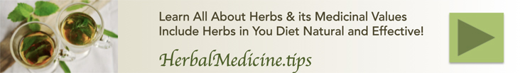  HerbalMedicine.tips